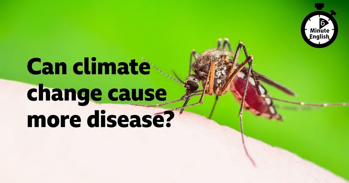 2023-0525-6min-english-Can-climate-change-cause-more-disease