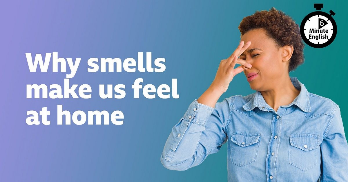 2025-0206-6min-Why-smells-make-us-feel-at-home