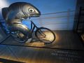 fish bicycle 1