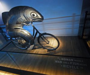 fish bicycle 1