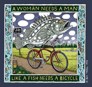 fish bicycle 6